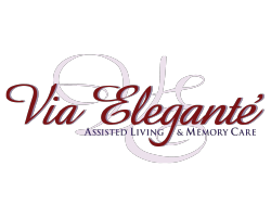 via-elegante-logo